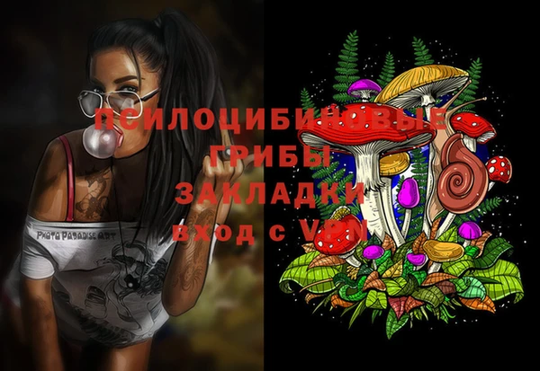 ECSTASY Волосово