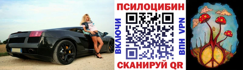 Псилоцибиновые грибы Psilocybe Купить Фурманов